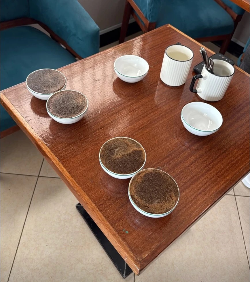 Cupping bowls set out on a table for a coffee tasting